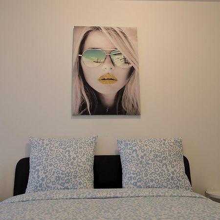 Le Vauban - Appartement 2 Chambres, Salon, Cuisine Equipee, Parking Et Wifi Gratuit Mulhouse Exterior photo