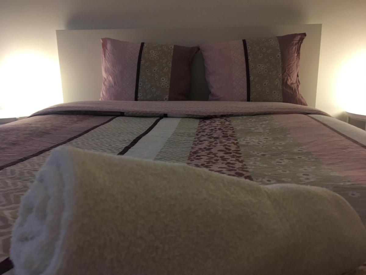 Le Vauban - Appartement 2 Chambres, Salon, Cuisine Equipee, Parking Et Wifi Gratuit Mulhouse Exterior photo